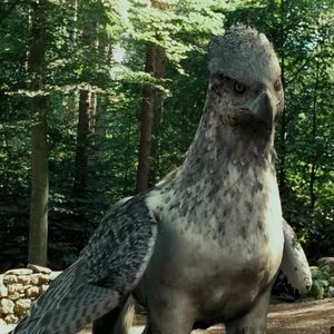 Meet your Posher, Claire